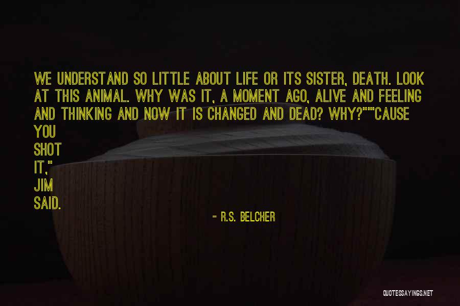 Langsat Seeds Quotes By R.S. Belcher Langsat Seeds Quotes By R.S. Belcher