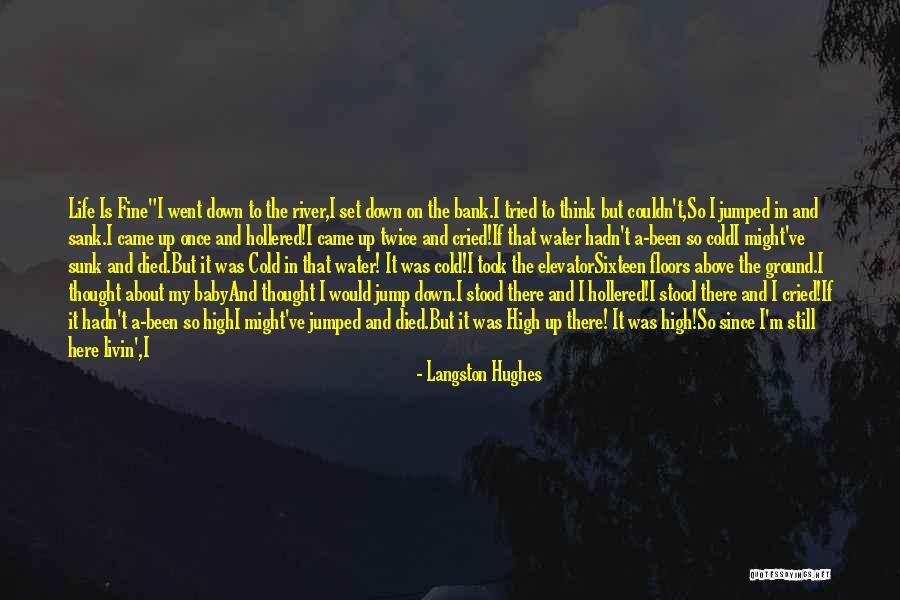 Langston Hughes Quotes 325394