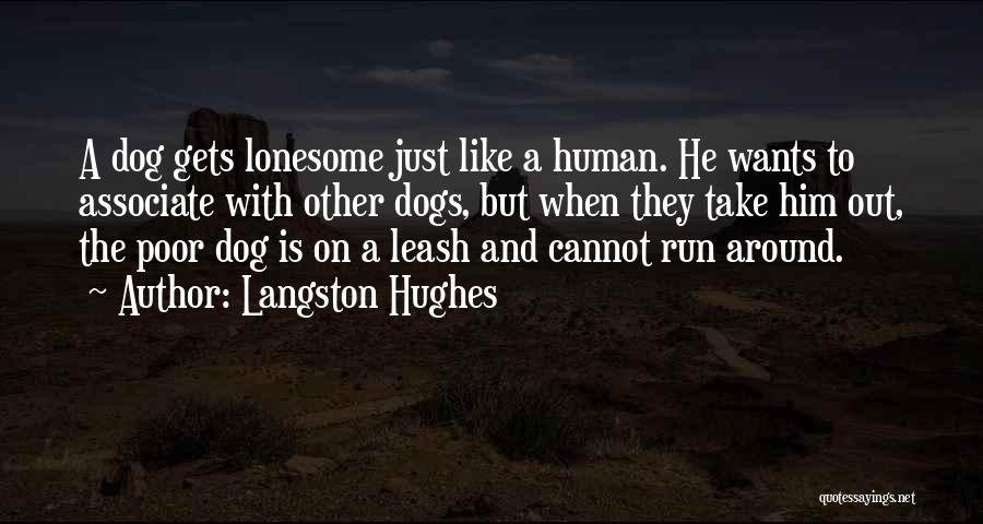 Langston Hughes Quotes 431583