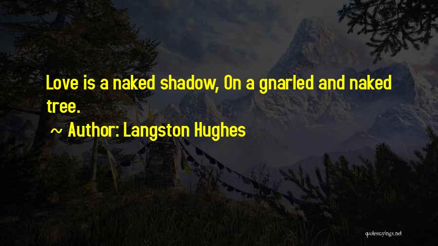 Langston Hughes Quotes 693010