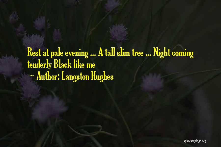 Langston Hughes Quotes 853916