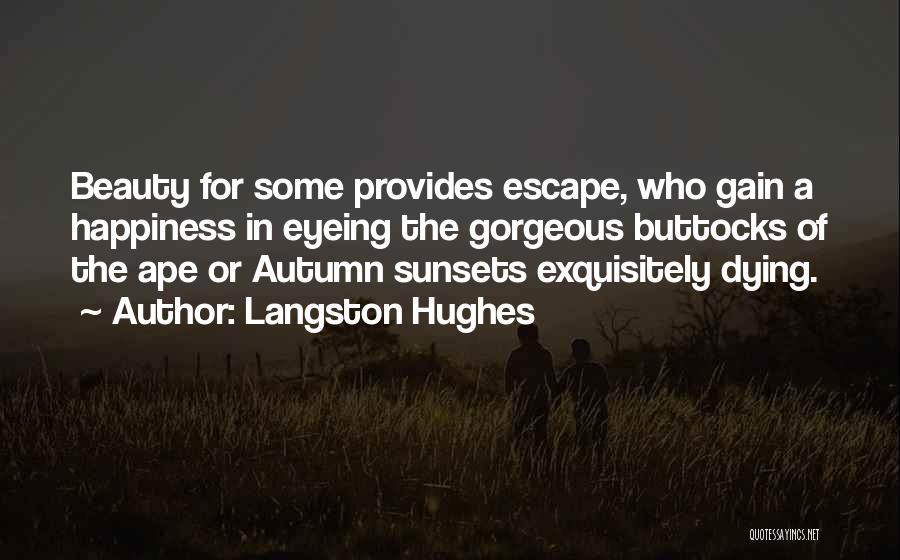 Langston Quotes By Langston Hughes