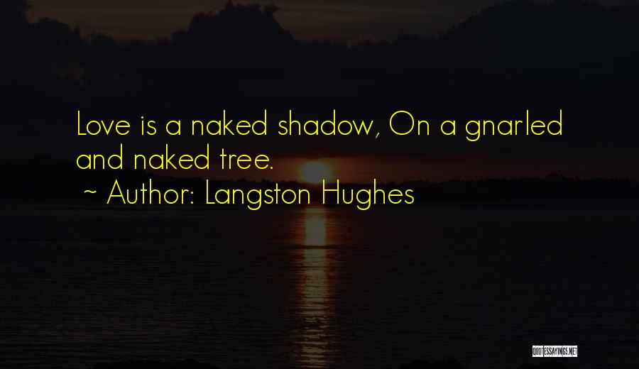 Langston Quotes By Langston Hughes