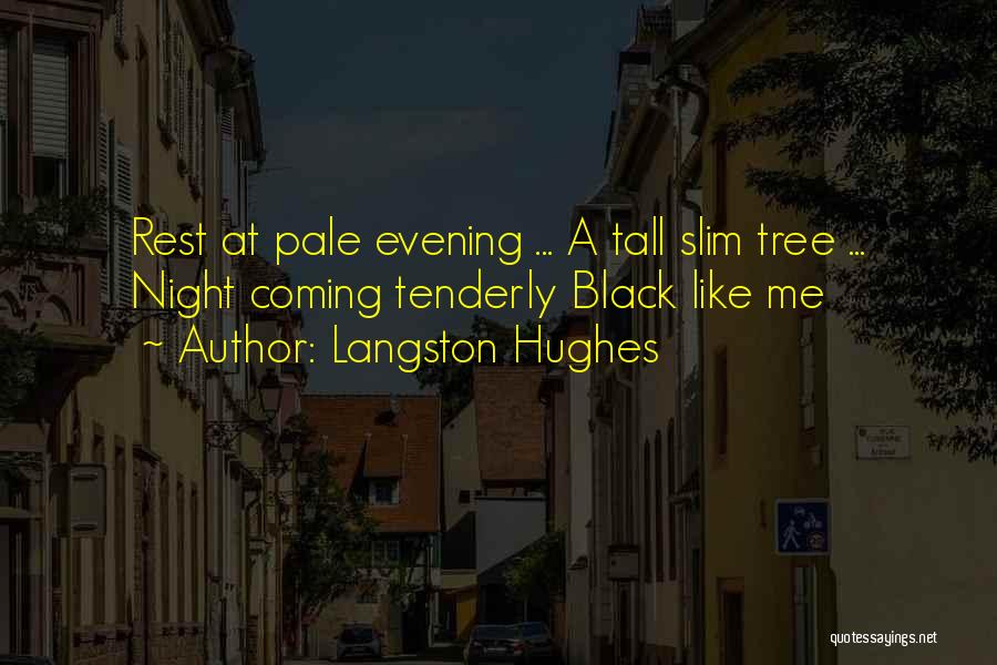 Langston Quotes By Langston Hughes