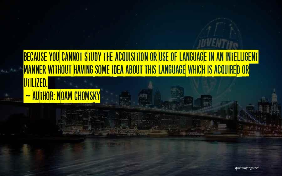 Language Acquisition Quotes By Noam Chomsky