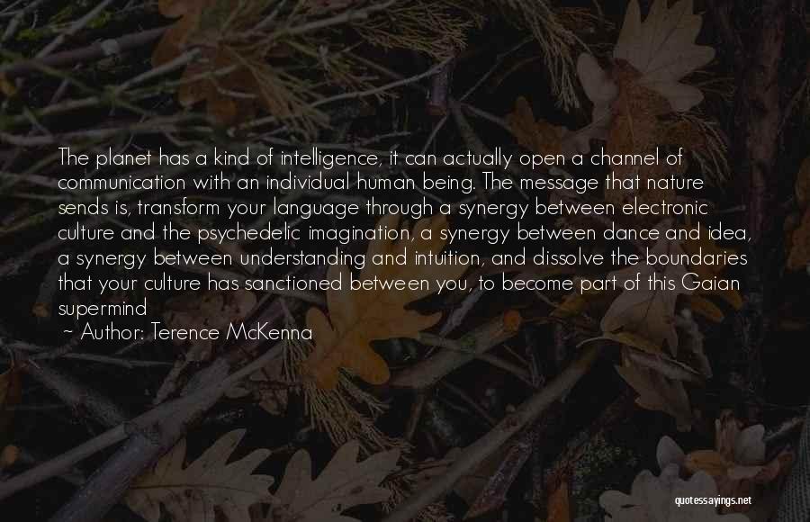Language And Communication Quotes By Terence McKenna