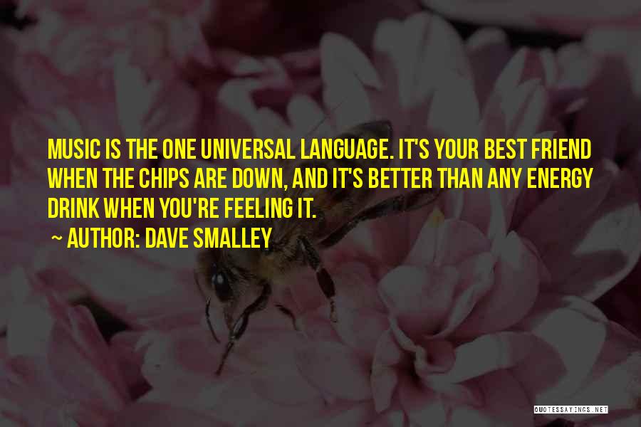 Language And Music Quotes By Dave Smalley
