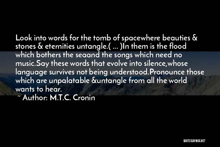 Language And Silence Quotes By M.T.C. Cronin