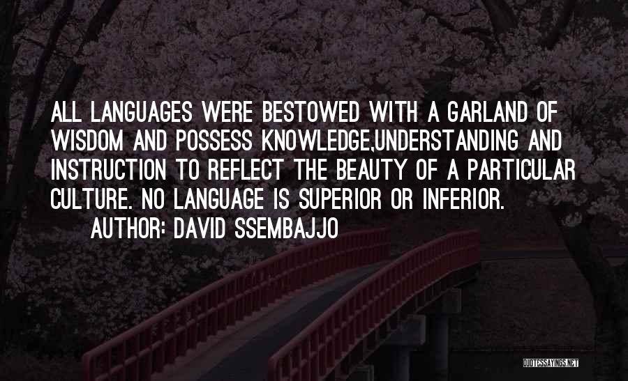 Language And Understanding Quotes By David Ssembajjo