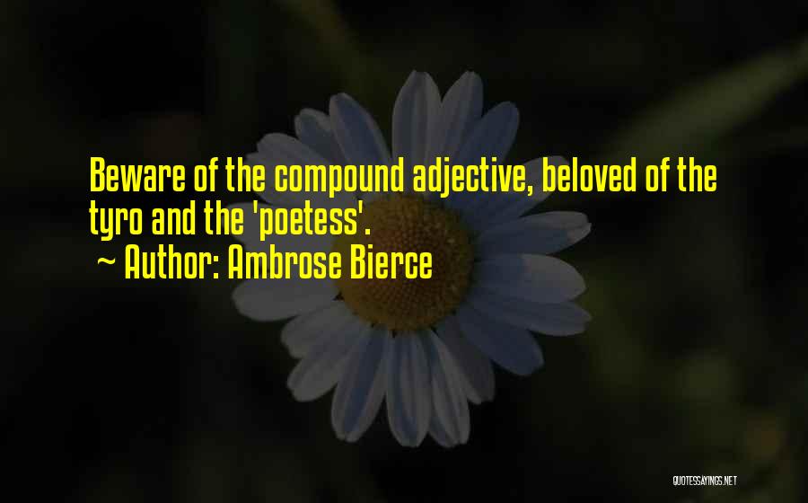 Language And Writing Quotes By Ambrose Bierce