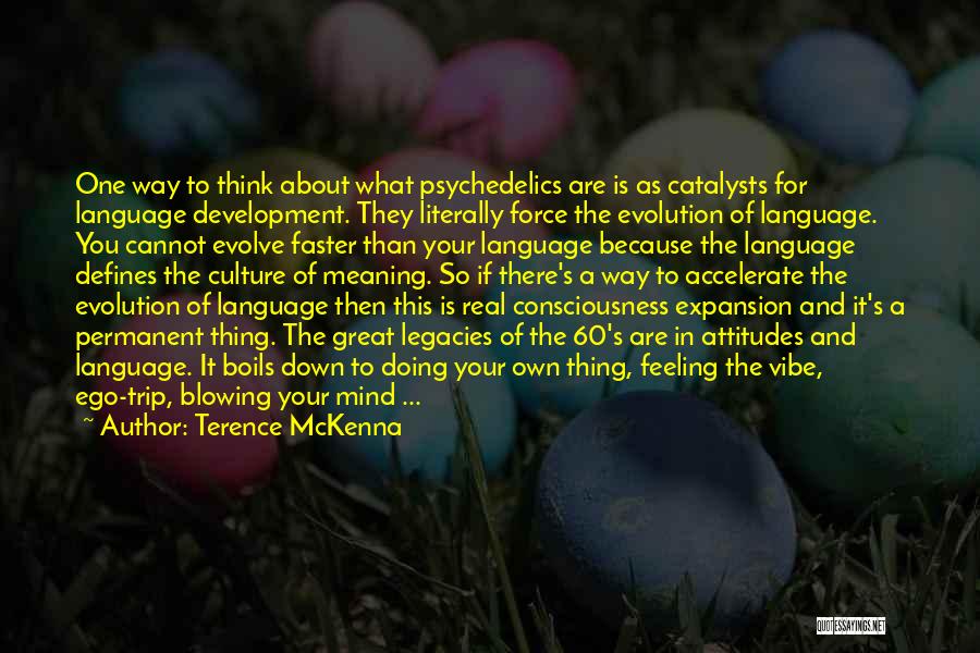 Language Development Quotes By Terence McKenna