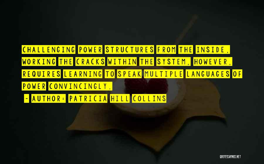 Language Learning Quotes By Patricia Hill Collins