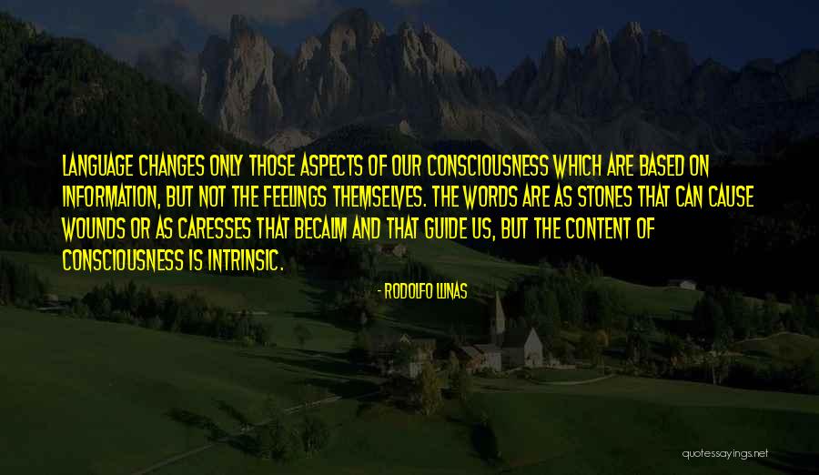 Language Of Feelings Quotes By Rodolfo Llinas Language Of Feelings Quotes By Rodolfo Llinas