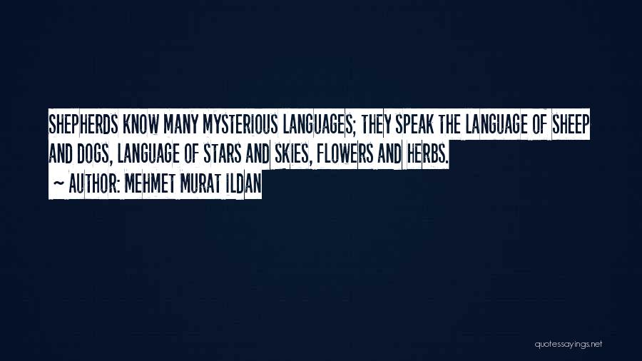 Language Of Flowers Quotes By Mehmet Murat Ildan