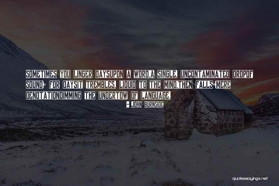 Language Of Mind Quotes By John Burnside Language Of Mind Quotes By John Burnside