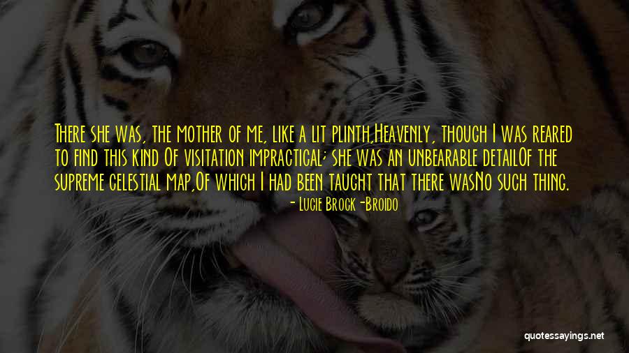 Language Of Thorns Quotes By Lucie Brock-Broido Language Of Thorns Quotes By Lucie Brock-Broido