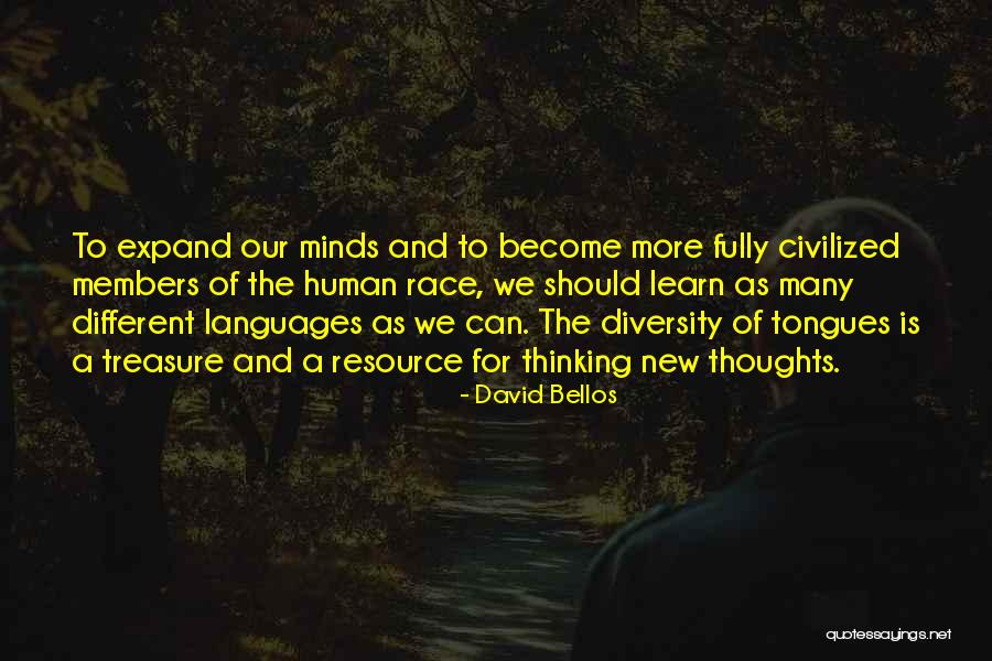 Languages To Learn Quotes By David Bellos