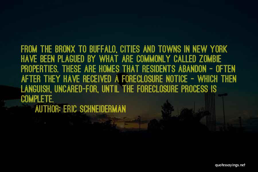 Languish Quotes By Eric Schneiderman