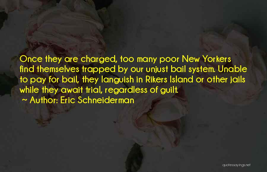 Languish Quotes By Eric Schneiderman