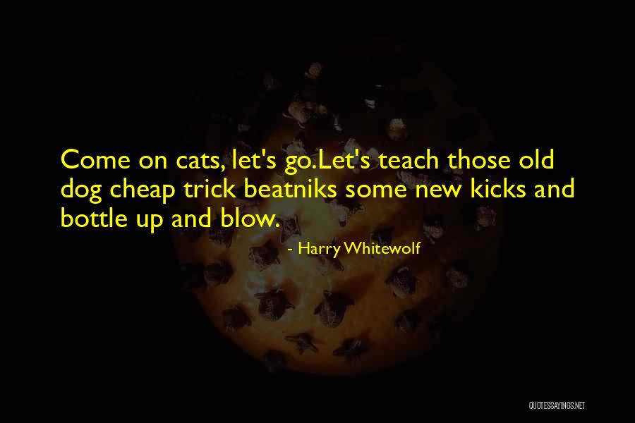Langum Park Quotes By Harry Whitewolf Langum Park Quotes By Harry Whitewolf