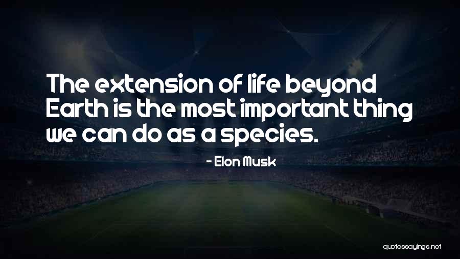 Lani Mouse Quotes By Elon Musk Lani Mouse Quotes By Elon Musk