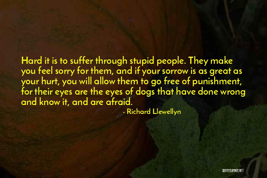 Lanith Laos Quotes By Richard Llewellyn Lanith Laos Quotes By Richard Llewellyn