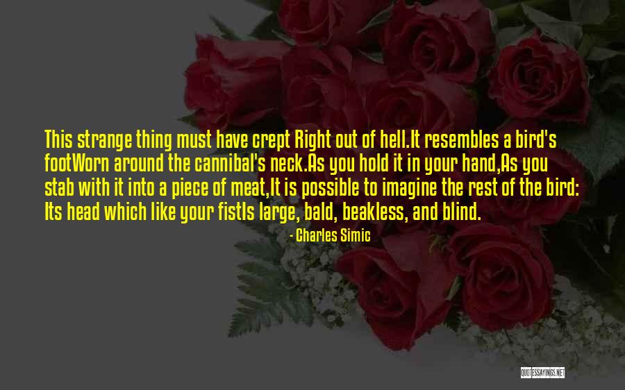 Lanitha Quotes By Charles Simic Lanitha Quotes By Charles Simic