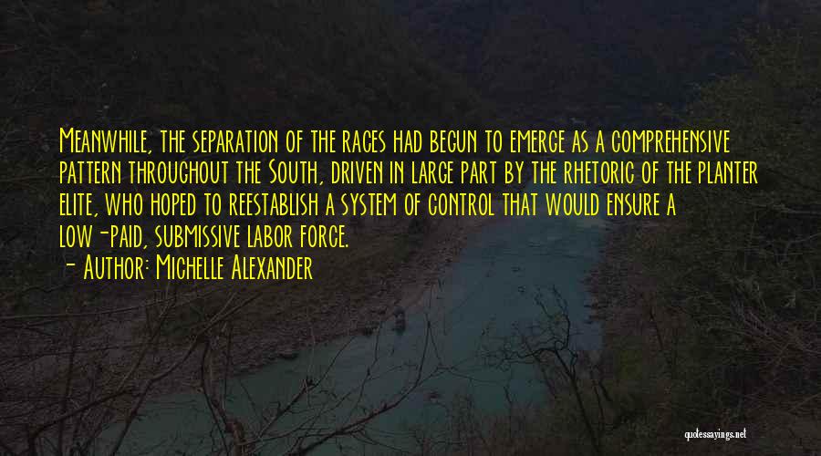 Lankabangla Quotes By Michelle Alexander