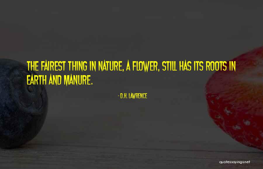 Lanos Hydraulic Rowing Quotes By D.H. Lawrence Lanos Hydraulic Rowing Quotes By D.H. Lawrence