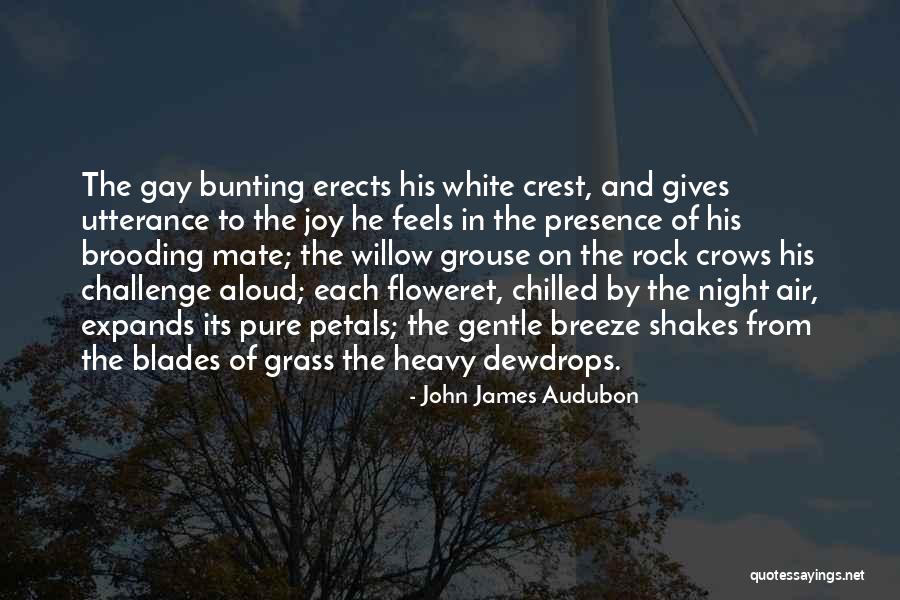 Lanterna Education Quotes By John James Audubon Lanterna Education Quotes By John James Audubon