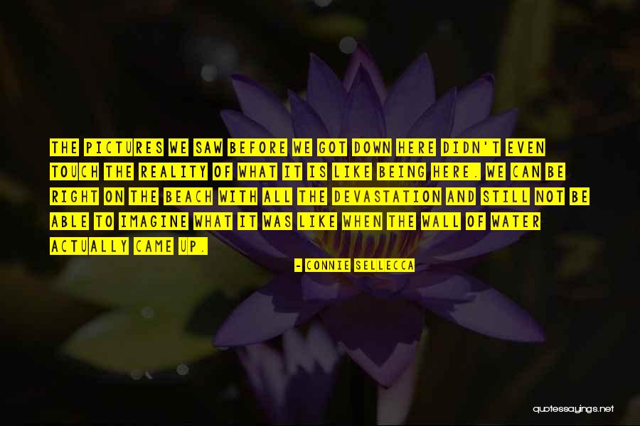 Lanterne Solaire Quotes By Connie Sellecca Lanterne Solaire Quotes By Connie Sellecca