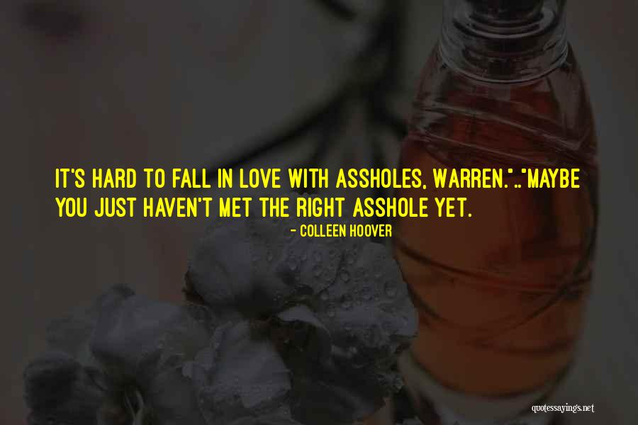 Lanting Hay Quotes By Colleen Hoover Lanting Hay Quotes By Colleen Hoover