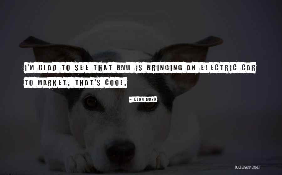 Lanulus Quotes By Elon Musk Lanulus Quotes By Elon Musk