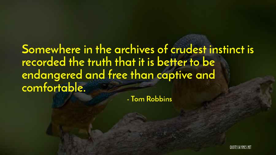 Lanzi Academy Quotes By Tom Robbins Lanzi Academy Quotes By Tom Robbins