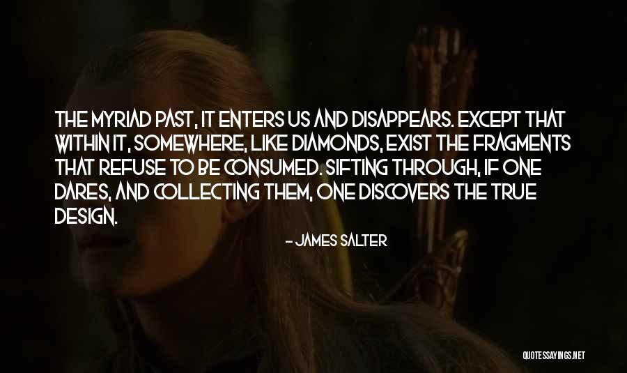 Lanzinger Ski Quotes By James Salter Lanzinger Ski Quotes By James Salter
