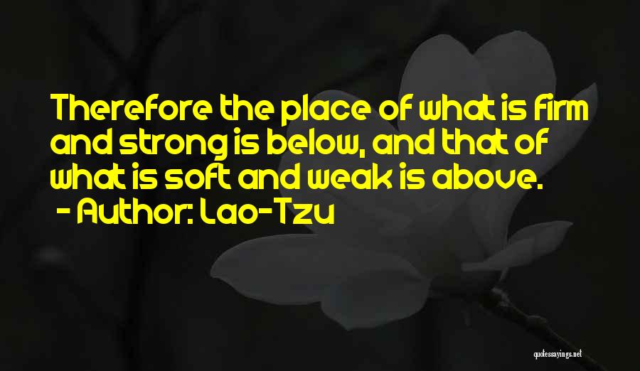 Lao-Tzu Quotes 424606