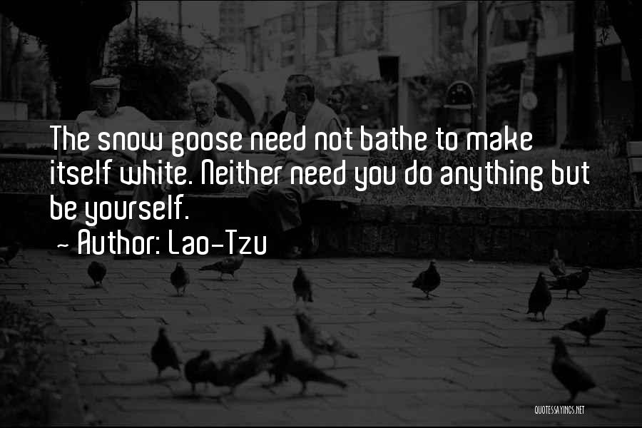 Lao-Tzu Quotes 764607