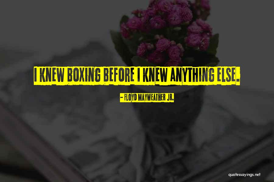 Laotian People Quotes By Floyd Mayweather Jr. Laotian People Quotes By Floyd Mayweather Jr.
