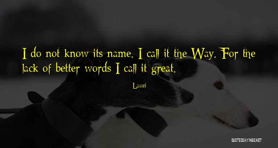 Laozi Taoism Quotes By Laozi