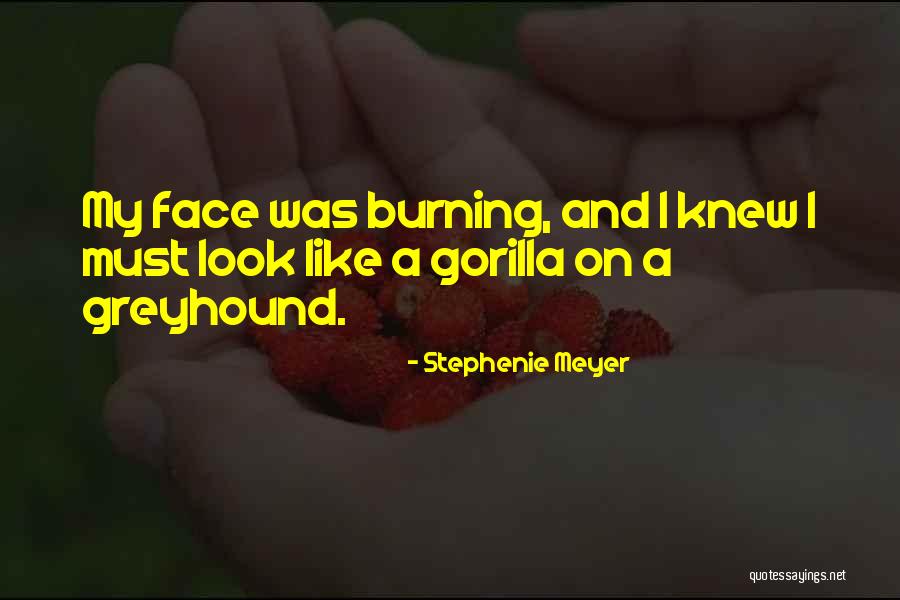 Lapalma Quotes By Stephenie Meyer Lapalma Quotes By Stephenie Meyer