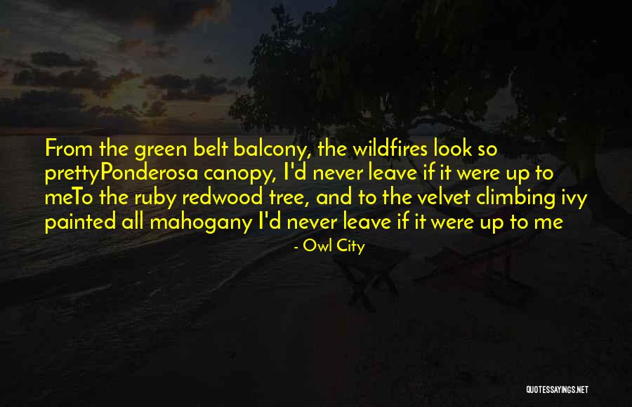 Lapavitsas Jacobin Quotes By Owl City Lapavitsas Jacobin Quotes By Owl City