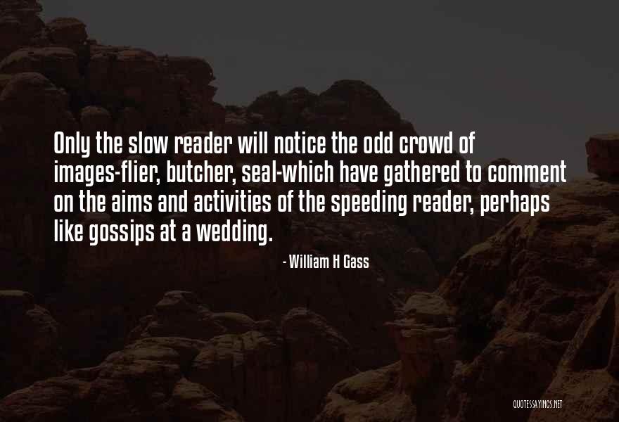 Lapdog Define Quotes By William H Gass Lapdog Define Quotes By William H Gass