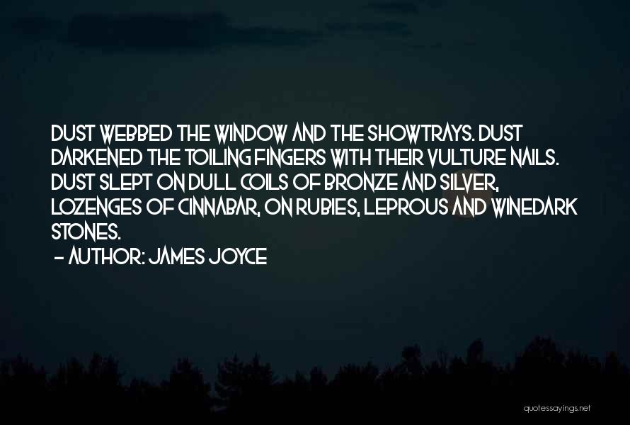 Lapidary Quotes By James Joyce