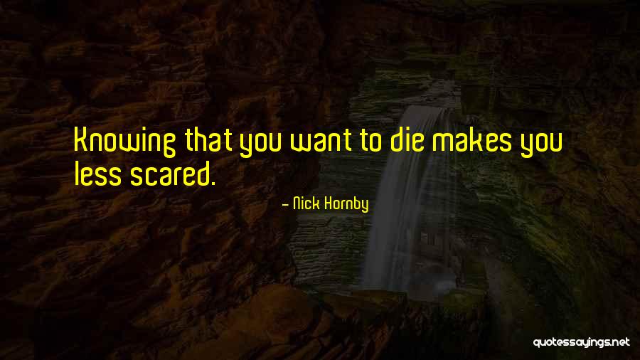 Lapides Construction Quotes By Nick Hornby