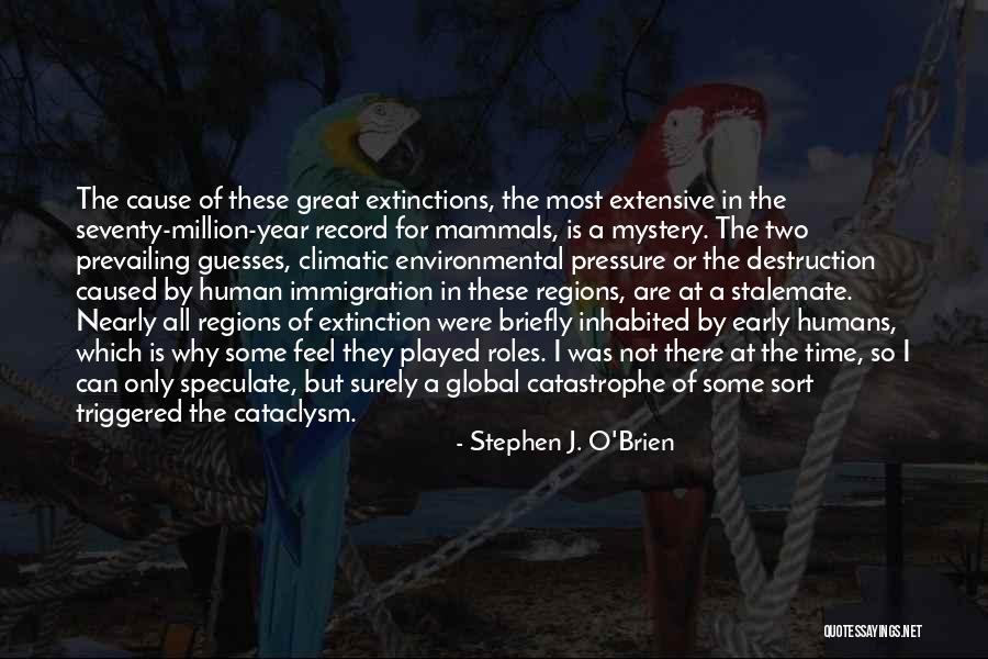 Lapidus Procedure Quotes By Stephen J. O'Brien Lapidus Procedure Quotes By Stephen J. O'Brien