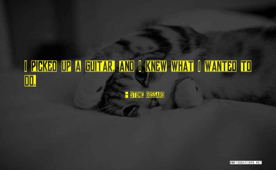 Laplacian Operator Quotes By Stone Gossard Laplacian Operator Quotes By Stone Gossard