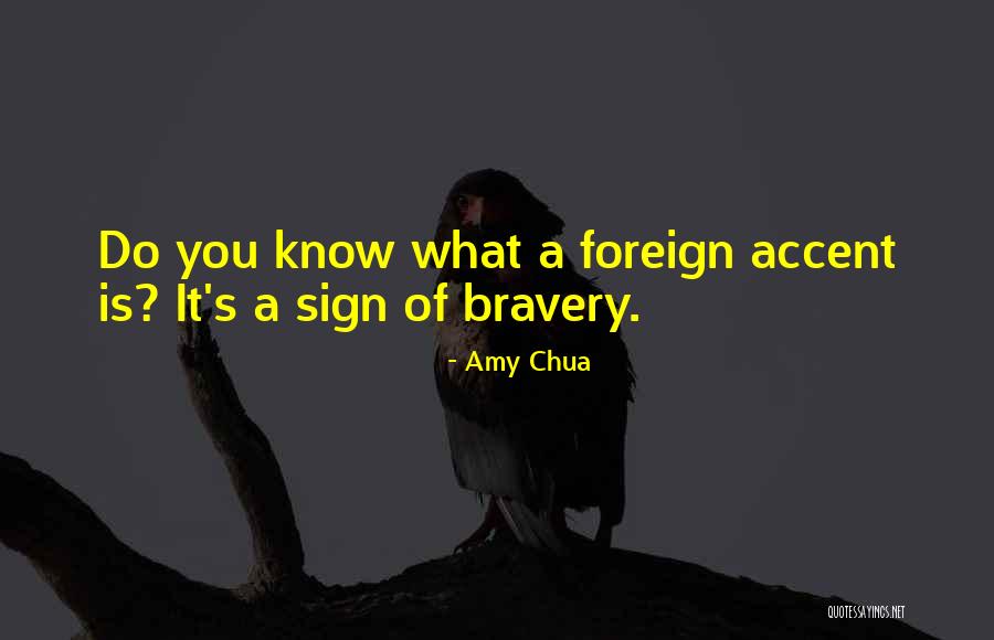 Lappy Quotes By Amy Chua Lappy Quotes By Amy Chua