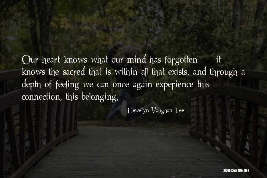 Lapsley Youtube Quotes By Llewellyn Vaughan-Lee Lapsley Youtube Quotes By Llewellyn Vaughan-Lee