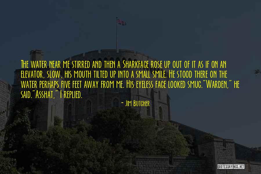 Lapte Condensat Quotes By Jim Butcher Lapte Condensat Quotes By Jim Butcher