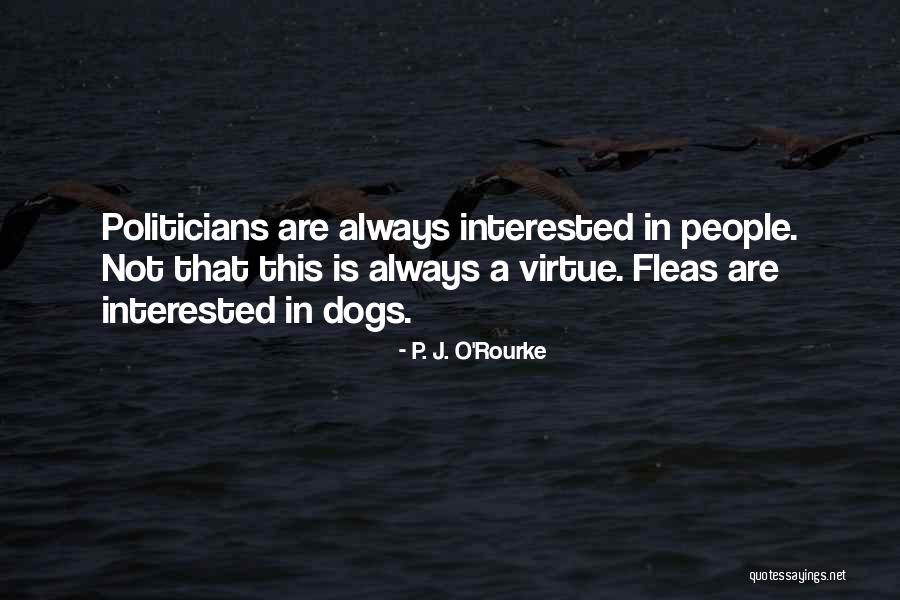 Larcenous Sort Quotes By P. J. O'Rourke Larcenous Sort Quotes By P. J. O'Rourke